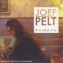 Pelt, Joep - It is What It is