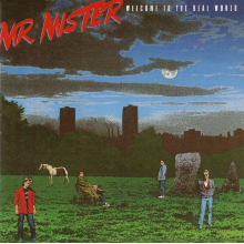 Mr. Mister - Welcome To The Real World