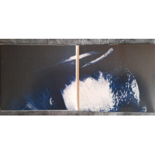 Pander - Break The Oath