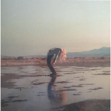 Phoebe Bridgers - Copycat Killer LP