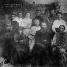 Pineapple Thief, The - Abducted At Birth