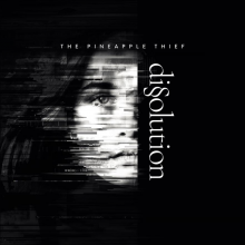 Pineapple Thief, The - Dissolution