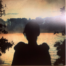 Porcupine Tree - Deadwing LP