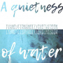 V/A - A Quietness of Water