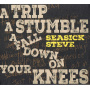 Seasick Steve - A Trip A Stumble A Fall Down On Your Knees