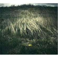 North Sea & Rameses Iii - Night of the Ankou