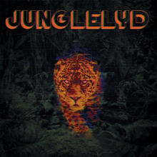 Jungleyd - Paracaidas