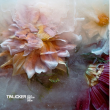 Tinlicker - Cold Enough For Snow