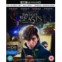 Movie - Fantastic Beasts and Where To Find Them