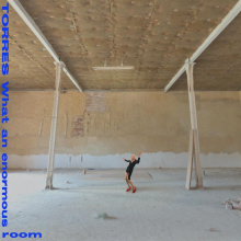 Torres - What An Enormous Room LP