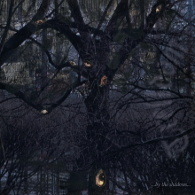 Trelldom - By The Shadows