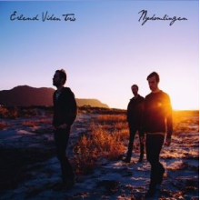 Viken, Erlend -Trio- - Nykomlingen