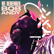 V/A - We Remember Bob Andy LP