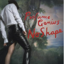 Perfume Genius - No Shape