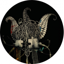 Tiger Stripes - System