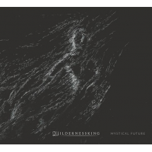 Wildernessking - Mystical Future