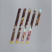 Wilson, Steven - 4,5