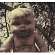Wilson, Steven - Insurgentes