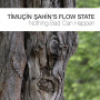 Timucin Sahin's Flow Stat - Nothing Bad Can Happen