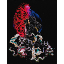 Bjork - Cornucopia : Live