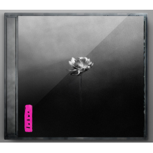 Little Simz - Lotus