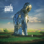 Nordic Giants - Amplify Human Vibration LP