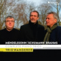 Mendelssohn Schumann & Brahms - Complete Piano Trios Trio Wanderer
