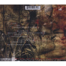 Burning Skies - Desolation