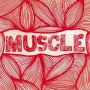 Muscle - Muscle
