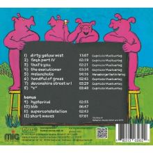 My Solid Ground - My Solid Ground