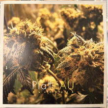 Plateau - Kushbush