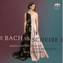 Concerto Koln & Marie Sophie Pollak & Max Volbers - Bach Vs. Scheibe