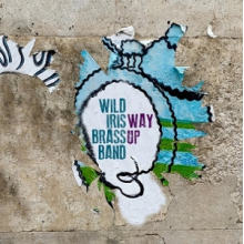 Wild Iris Brass Band - Way Up