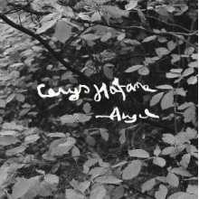 Hafana, Cerys - Angel