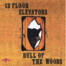 13th Floor Elevators - Bull of the Woods