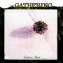 Gathering - Nighttime Birds