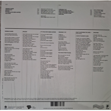 Common Holly - Anything Glass