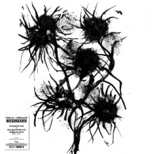 Comelade, Pascal - Improperis - Compositions Et Enregistrements