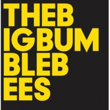 Baby Dee & Eliot Bates - Big Bumble Bees