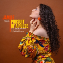 Jamile & Miki Yamanaka & Steve Wilson - Pursuit of a Pulse