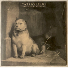 Pavlov's Dog - Lost In America