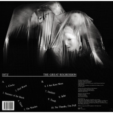 Ditz - The Great Regression