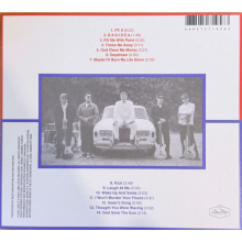 Militarie Gun - God Save the Gun