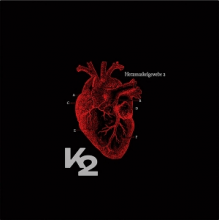 K2 - Herzmuskelgewebe
