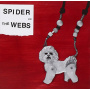 Spider & the Webs - Frozen Roses -McD-