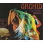 Orchid - Capricorn