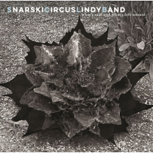 Snarskicircuslindyband - What's Said and What's Left Unsaid