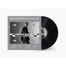 Anderson, Ian - Walk Into Light