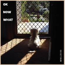 Go Get Mum - Ok Now What