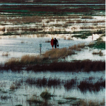 Texoprint - Modern Living